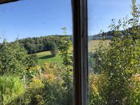 Blick durchs Fenster