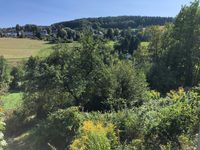 Ausblick von der Terrasse in den Garten